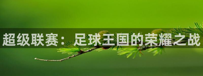 k1体育娱乐电子游戏