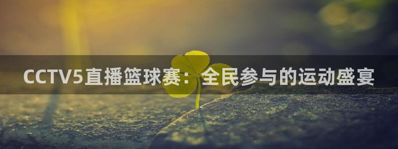 k1体育链接多少